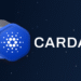 Cardano Staking